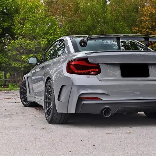 BMW 2 Series/M2 (F22/F87) GTS OLED Style Rear Tail Lights (Plug and Play) 